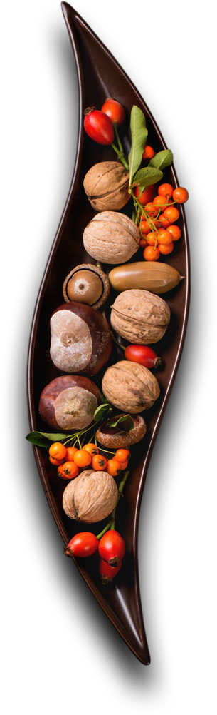 Akshaya Catering - Catering Vegetarian Food stuffs and dishes.