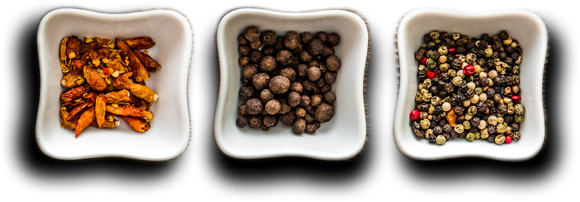 Akshaya Catering - Catering Vegetarian Food stuffs and dishes.